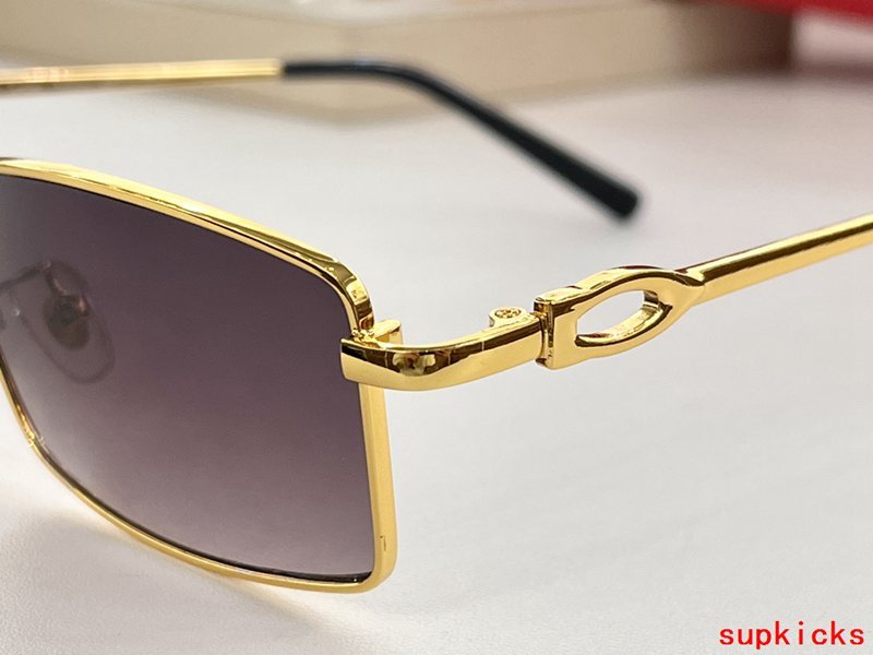 Cartier Luxury Sunglasses