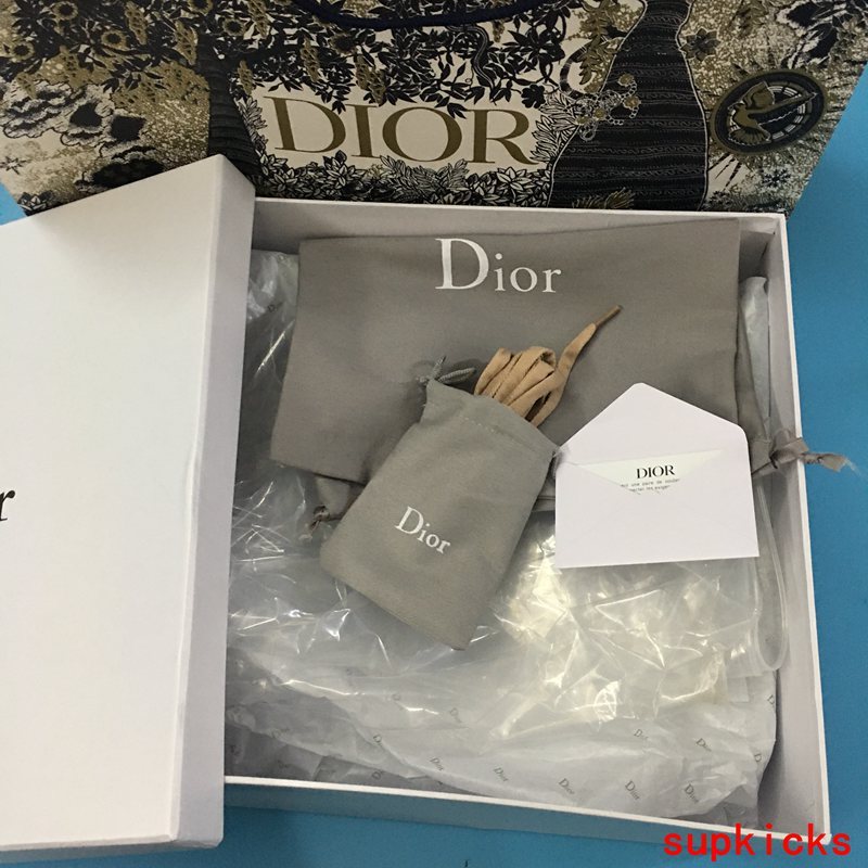 Dior Luxury Shoes