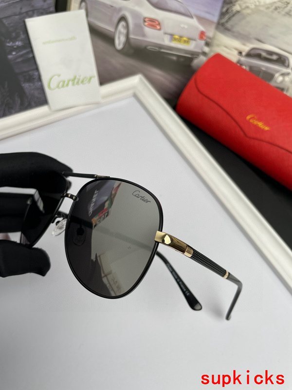 Cartier Luxury Sunglasses