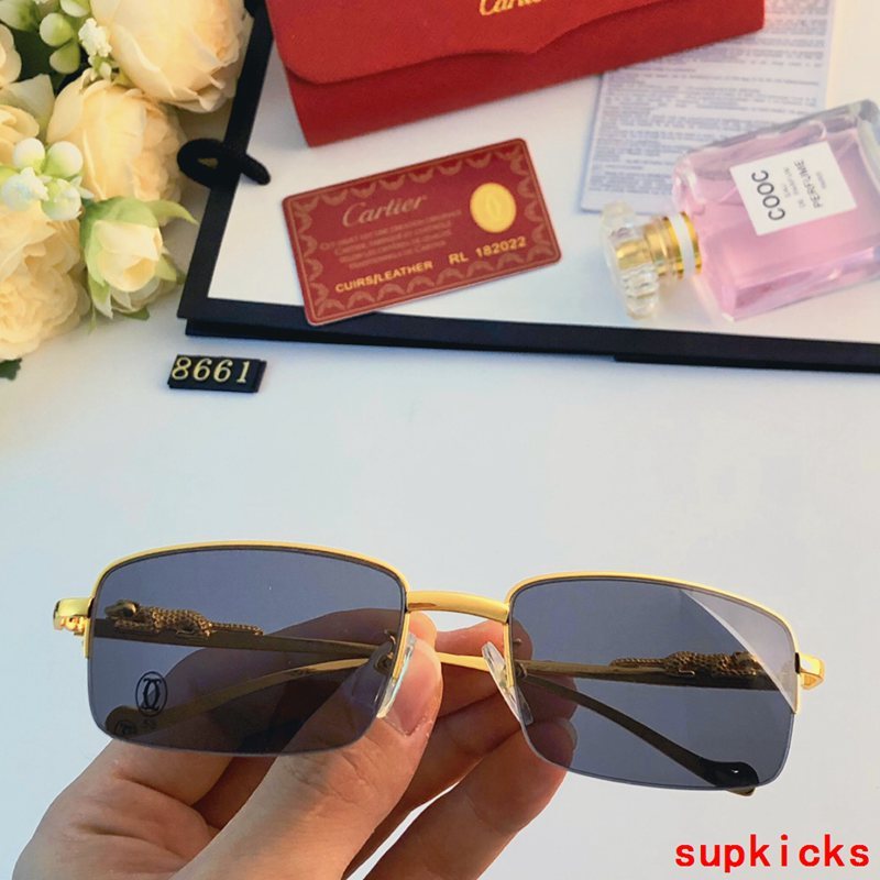 Cartier Luxury Sunglasses