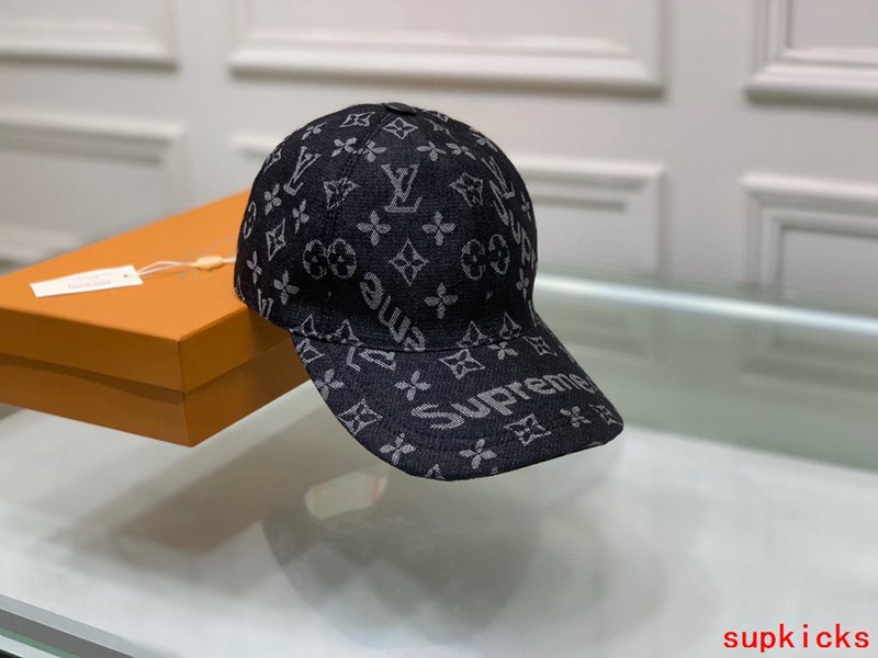 Louis Vuitton Luxury Cap