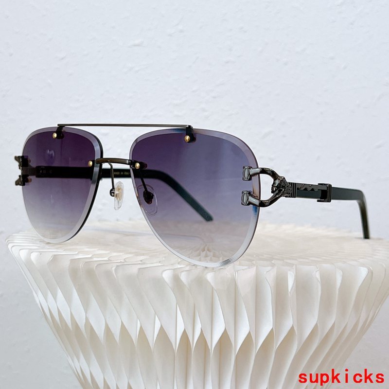 Cartier Luxury Sunglasses