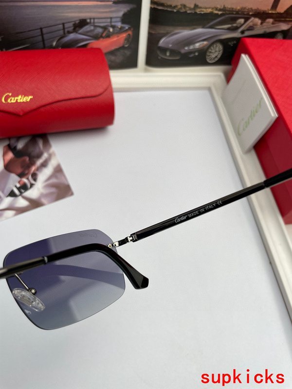 Cartier Luxury Sunglasses
