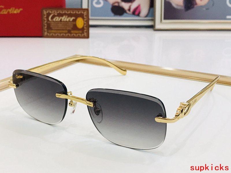 Cartier Luxury Sunglasses