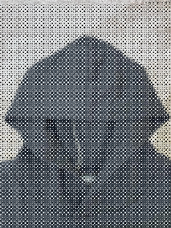 AMIR Hoodies - 113