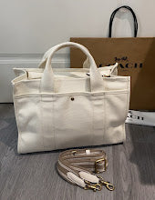 new-luxury-designer-bags-nm6529