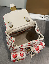 new-designer-premium-bags-nm6636