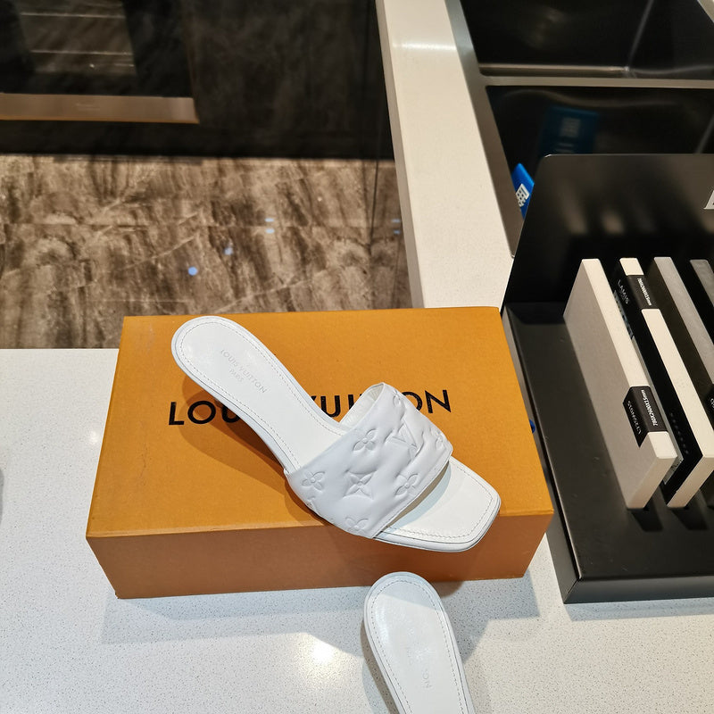 Louis Vuittion Luxury Shoes