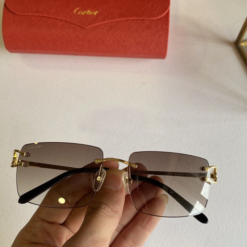 Cartier Luxury Sunglasses