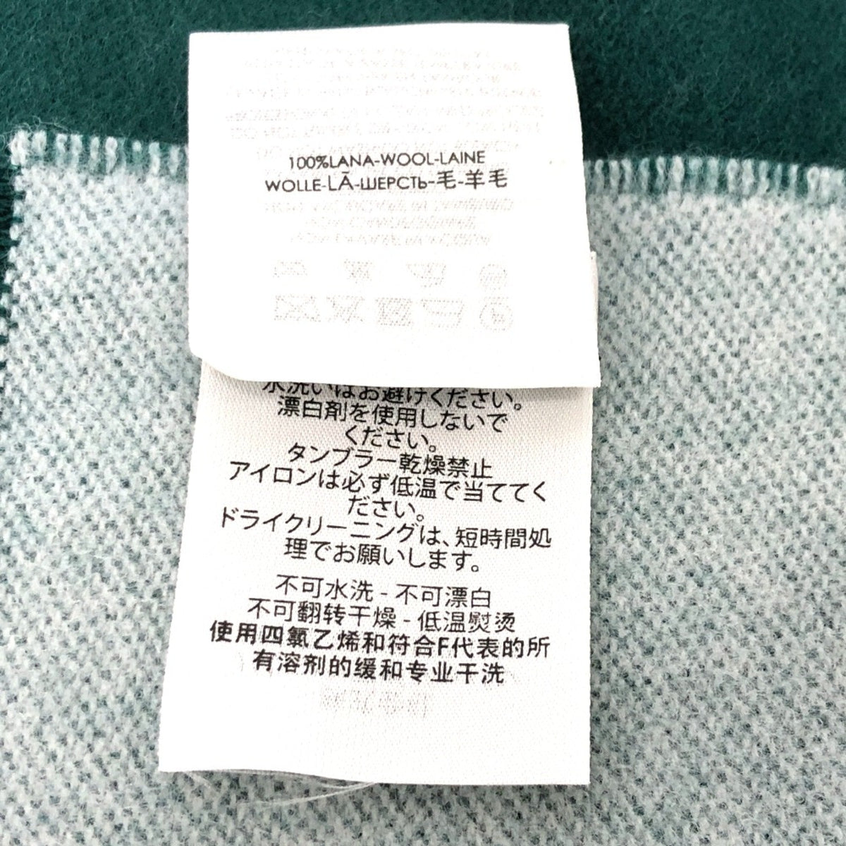balenciaga  Scarves