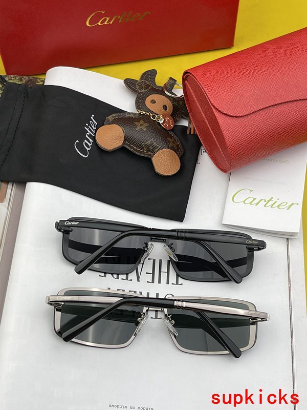 Cartier Luxury Sunglasses