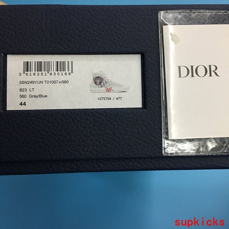 Dior Luxury Shoes