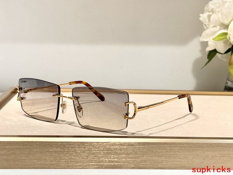 Cartier Luxury Sunglasses