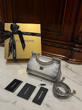 new-designer-premium-bags-nm6887