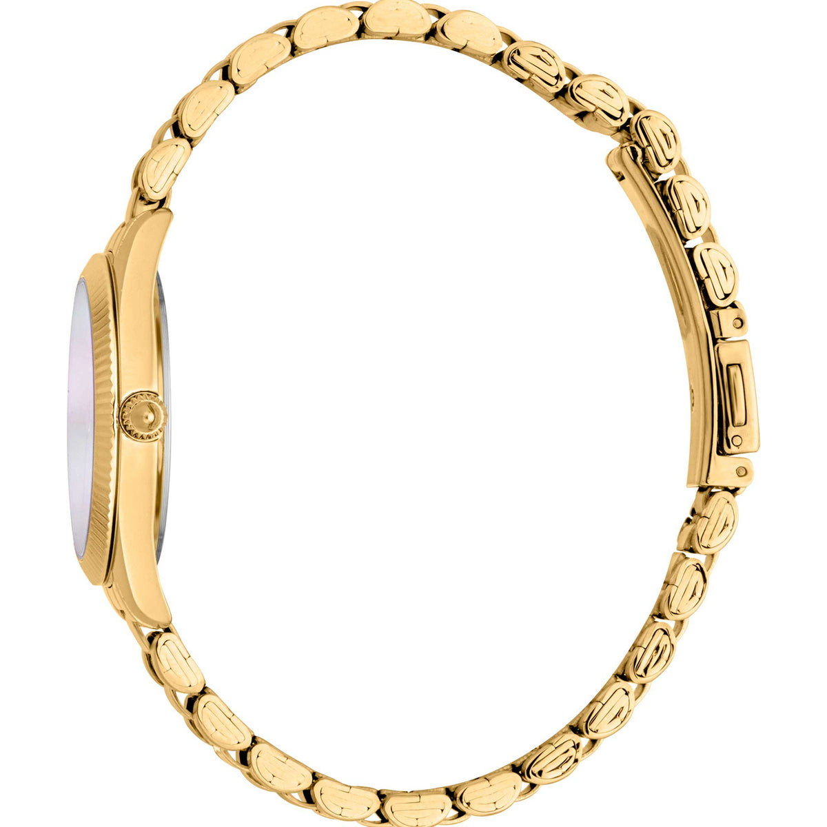 Just Cavalli Women's JC1L267M0055 SET Pacentro mm Quartz Watch