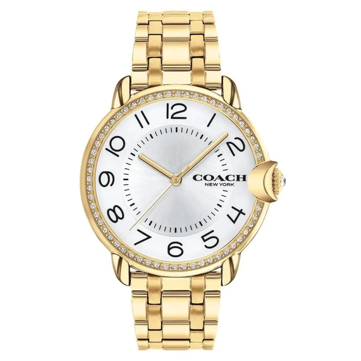 Coach Women's Arden 36mm Quartz Watch 14503810