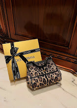 new-designer-premium-bags-nm6916