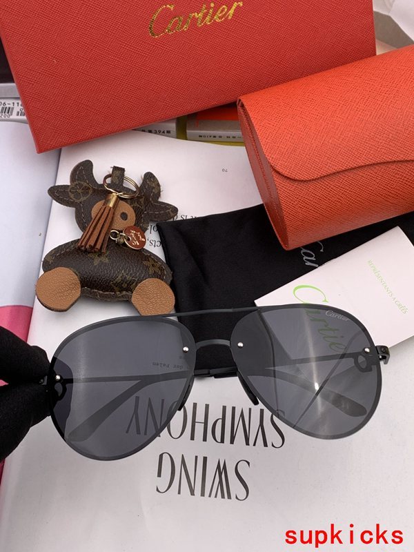 Cartier Luxury Sunglasses