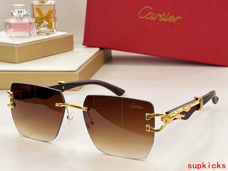 Cartier Luxury Sunglasses