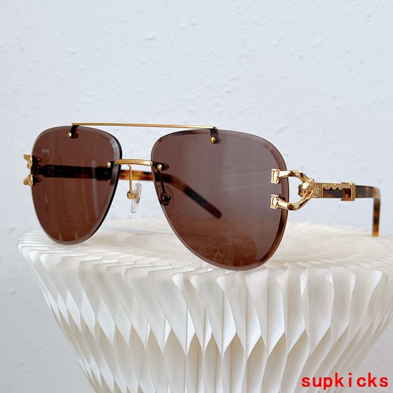 Cartier Luxury Sunglasses