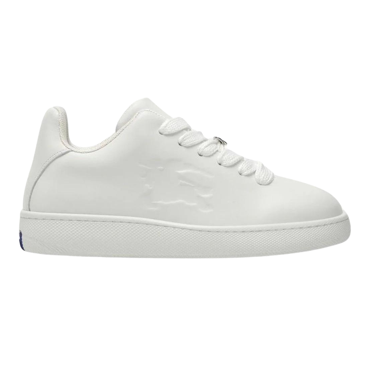 Box Sneakers