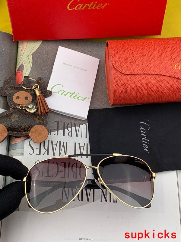 Cartier Luxury Sunglasses