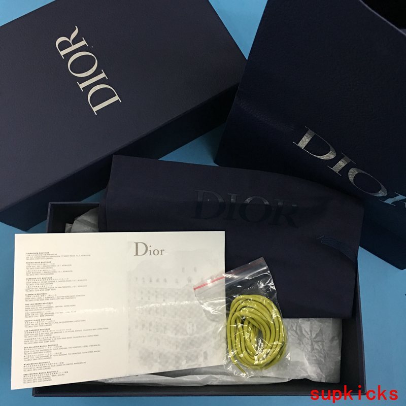 Dior Luxury Shoes