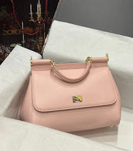 new-designer-premium-bags-nm7171