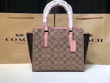 new-luxury-designer-bags-nm6370