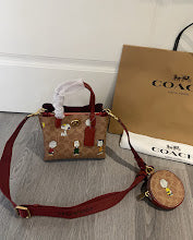 new-designer-premium-bags-nm6295