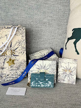 new-luxury-designer-bags-nm7564