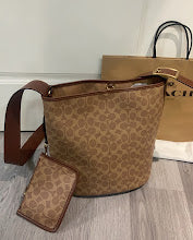 new-luxury-designer-bags-nm6606