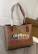 new-luxury-designer-bags-nm6296