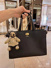 new-designer-premium-bags-nm5659