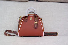 new-luxury-designer-bags-nm6478