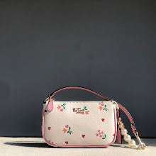 new-luxury-designer-bags-nm6483