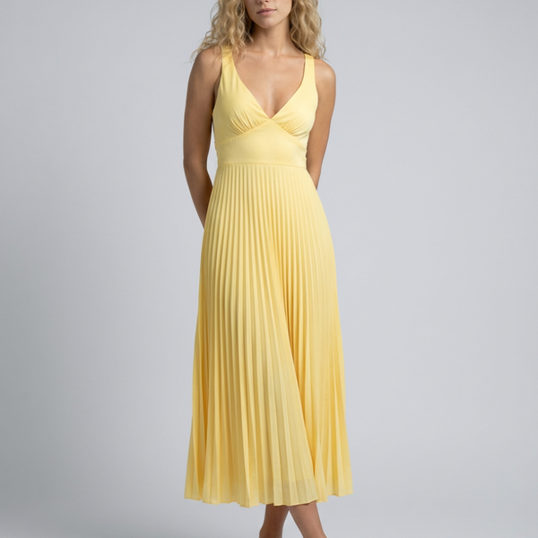 Aby | Pleated V-Neck Maxi Dress