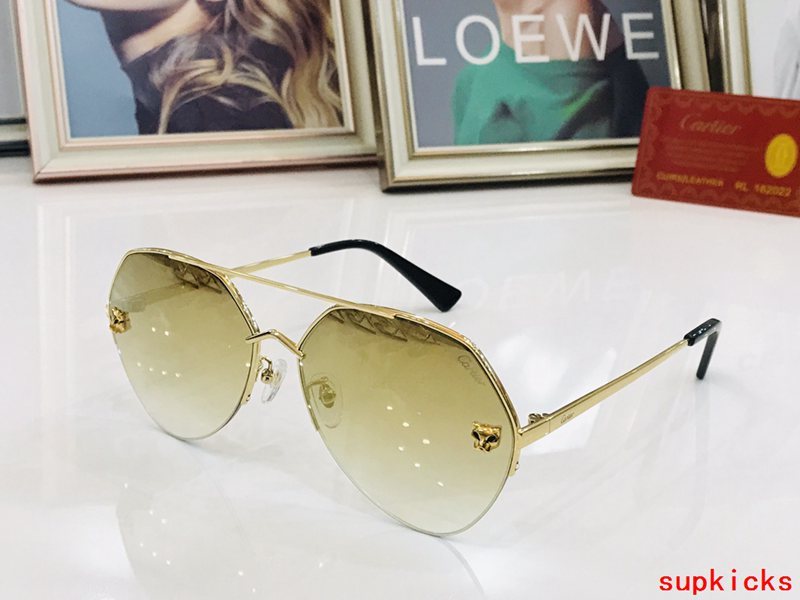 Cartier Luxury Sunglasses