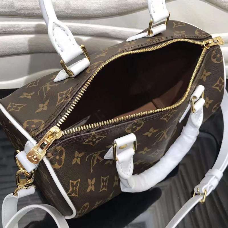 LOV2 Bags - Luxurious Bags  527