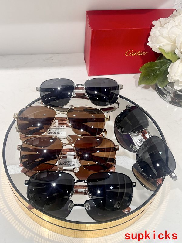 Cartier Luxury Sunglasses