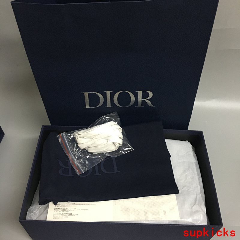 Dior Luxury Shoes