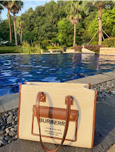 new-luxury-designer-bags-nm5669