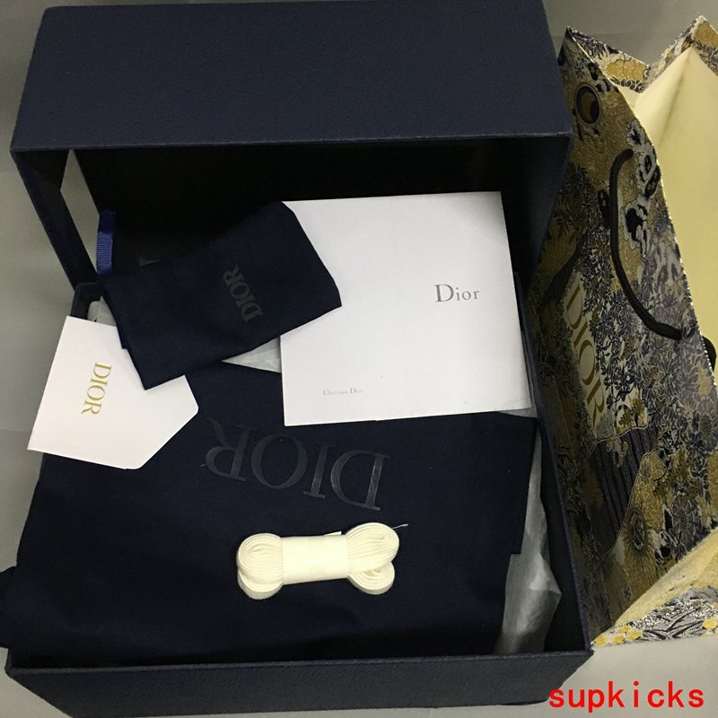 Dior Luxury Shoes