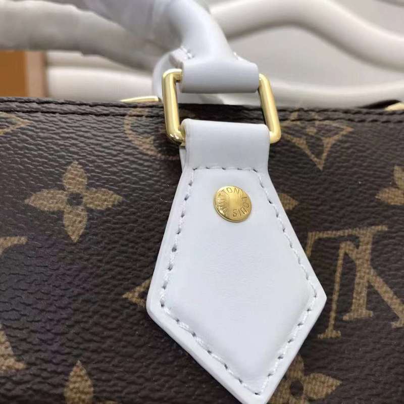 LOV2 Bags - Luxurious Bags  527