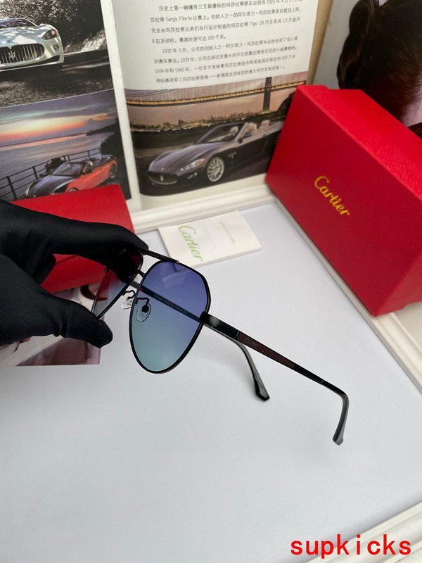 Cartier Luxury Sunglasses