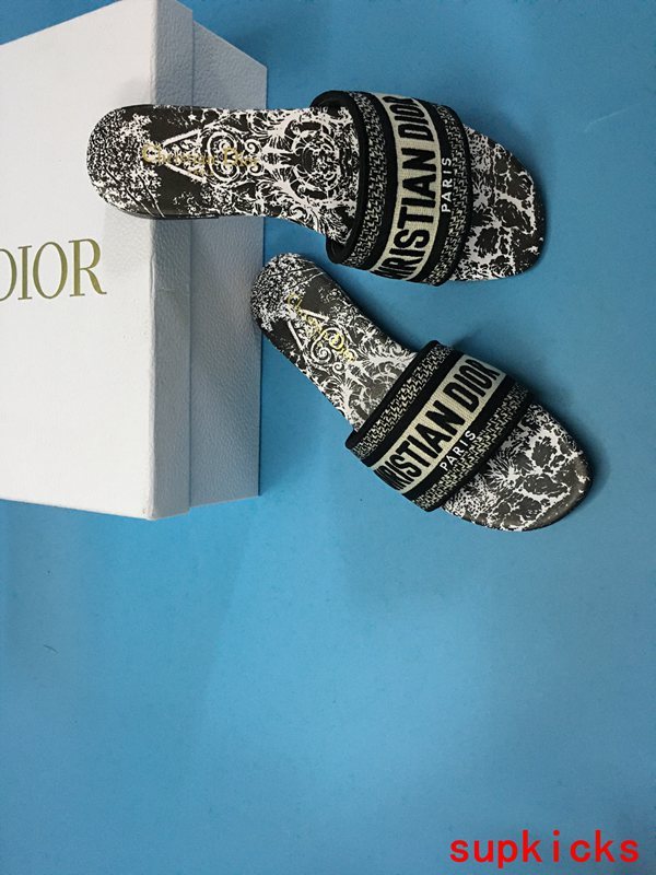 Dior Luxury Shoes