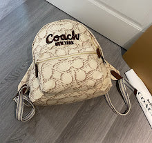 new-luxury-designer-bags-nm6300