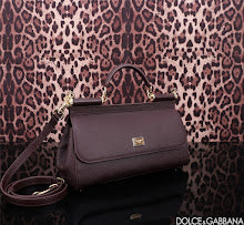 new-designer-premium-bags-nm7029