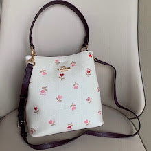 new-designer-premium-bags-nm6286