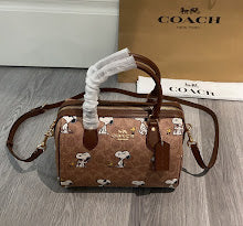 new-luxury-designer-bags-nm6276